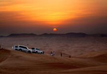 Dubai desert safari exercises