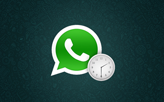 Learn How to Schedule a WhatsApp Message