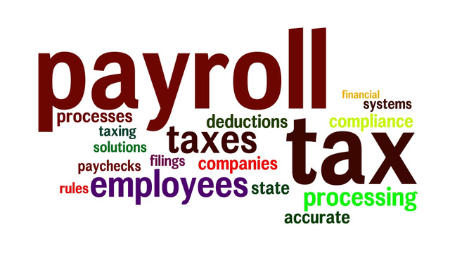 How Payroll Management Systems Can Save Your Time & Money?