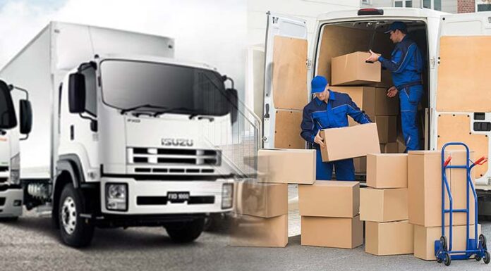 Movers And Packers In UAE