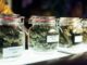 Top tips to aid in the buying of mail order weed