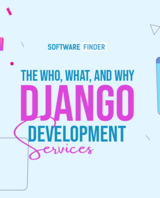 django development service