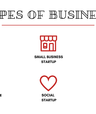 5 Types Of Businesses: From Startups To Corporations