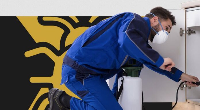 How to Choose the Best Pest Control and Comprehensive Cleaning Help Sydney