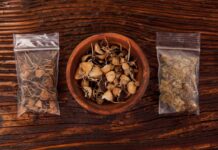Microdose Mushrooms: Why Take a Small Dose