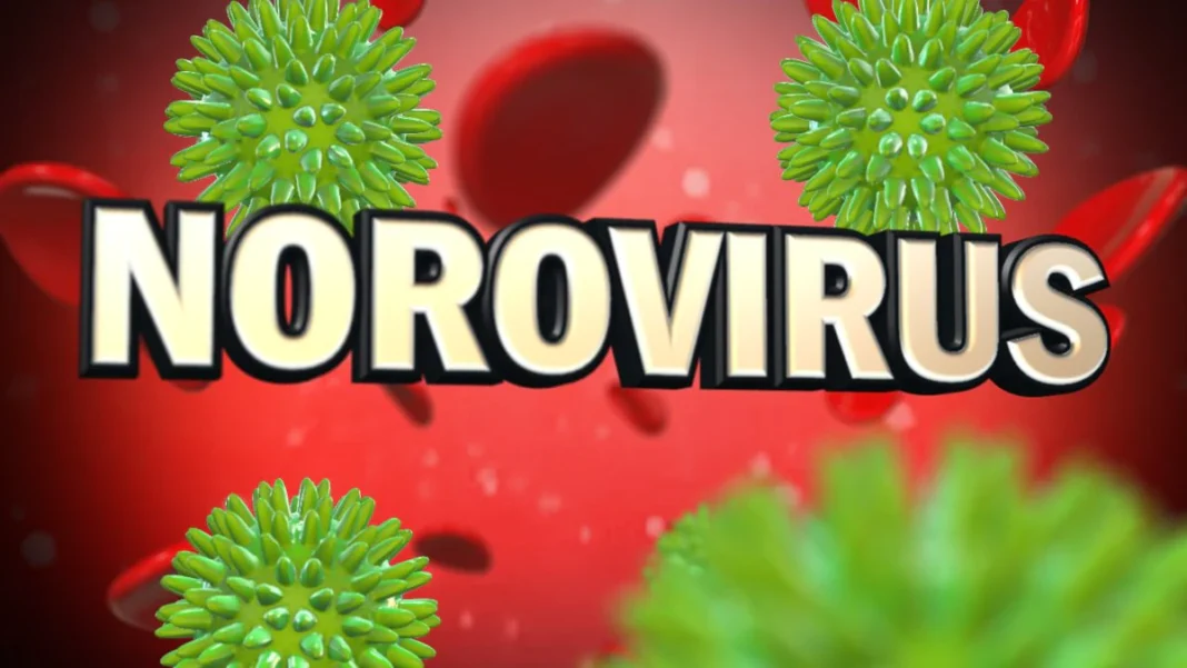 How to Prevent Norovirus in Michigan