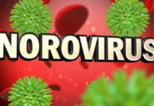 How to Prevent Norovirus in Michigan