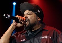 Ice Cube's Icy Journey
